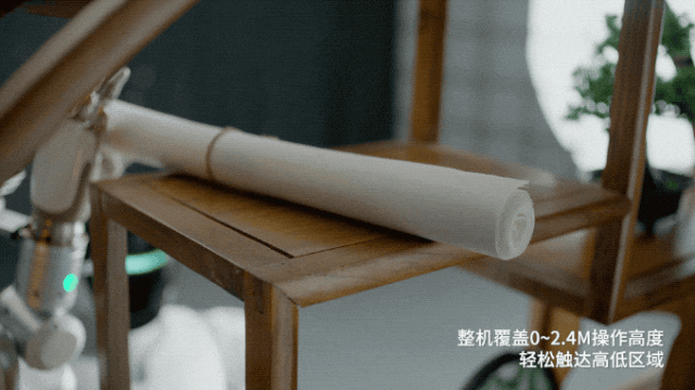 深圳又出了个智能机器人：DeepSeek加持，全球首款全域全身VLA