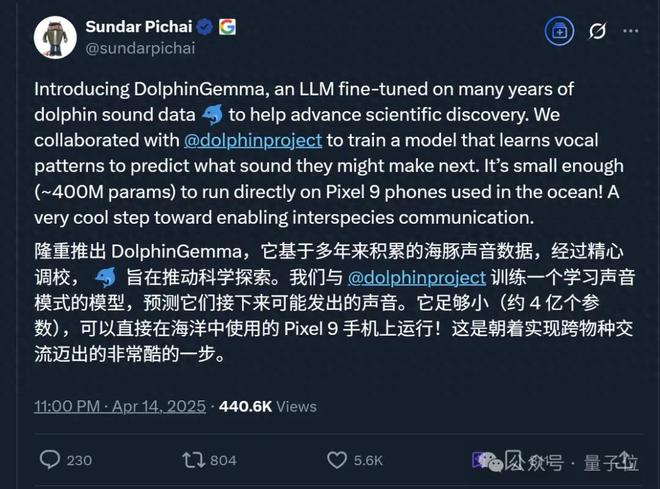 海豚语言被谷歌模型破译！实现跨物种交流，哈萨比斯：下一个是狗