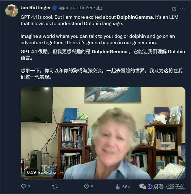 海豚语言被谷歌模型破译！实现跨物种交流，哈萨比斯：下一个是狗