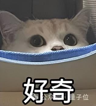 海豚语言被谷歌模型破译！实现跨物种交流，哈萨比斯：下一个是狗