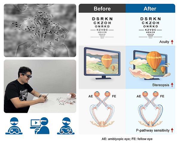 中国科学院与复旦大学合作研发出新型 AR 训练方法，提升视觉能力