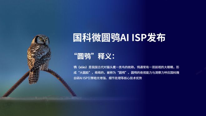 国科微推出 AI ISP 品牌“圆鸮”，首颗芯片已在安防行业得到应用