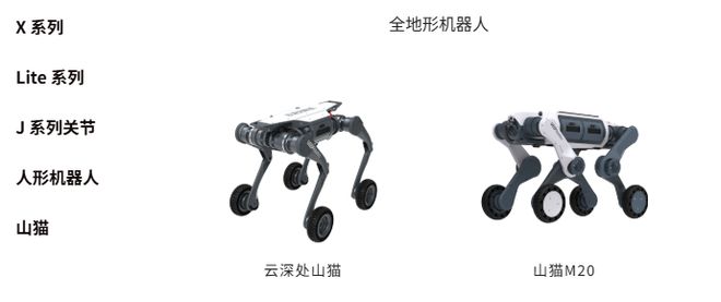 杭州机器人外网被刷爆！背灭火器冲火场、沙漠山地狂奔，浙大教授打造
