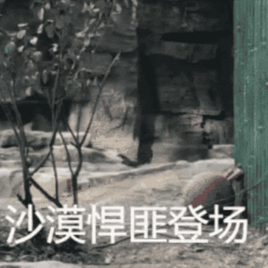 AI项链？OpenAI首款硬件爆料，乔布斯爱将操刀