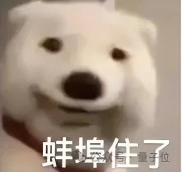 英伟达50系甜品卡发售日期定了！国内定价2499元