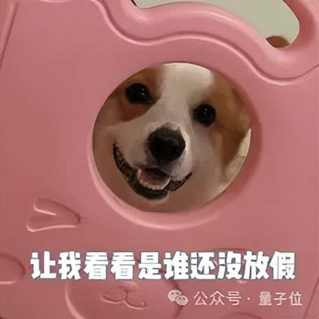 DeepSeek新数学模型刷爆记录！7B小模型发现671B模型不会的新技能