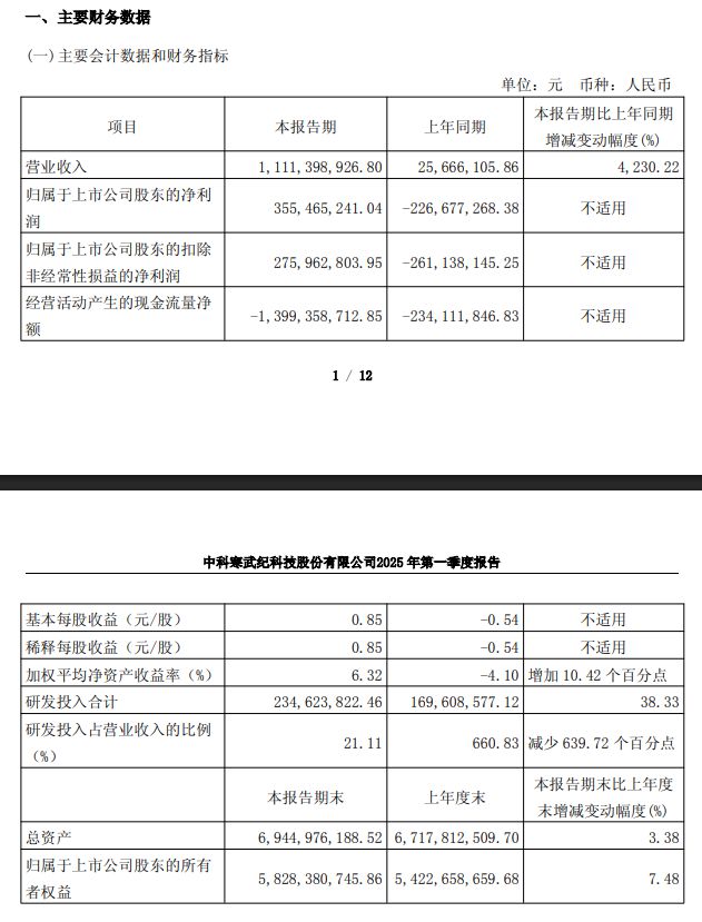 第一季度扭亏为盈，寒武纪 2025 年将持续加大研发投入