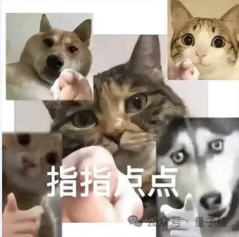 推理大模型1年内就会撞墙！FrontierMath团队最新研究