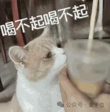新晋顶流Agent颠覆设计师！Lovart一手实测来了：是该刷屏爆火