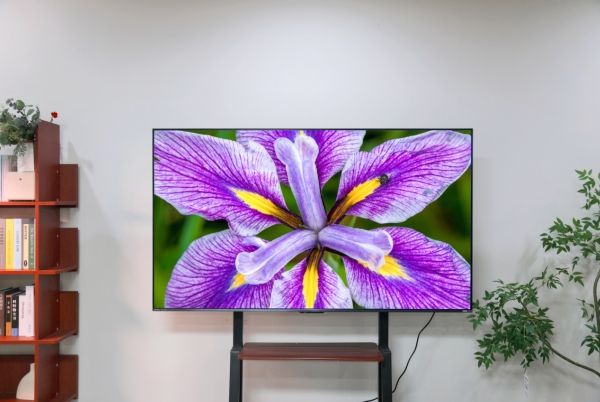海信小墨E5Q Pro评测：Mini LED电视“全能选手”，必入口碑王
