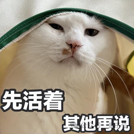 123页Claude 4行为报告发布：人类干坏事，会被它反手一个举报