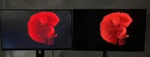 谁是一哥？OLED与MiniLED买谁才是对的？