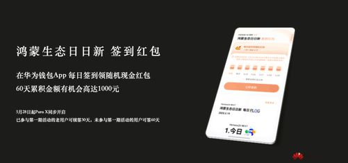 初夏时尚新秀火爆开售！nova14系列一眼吸金：好看、好用、红包好多