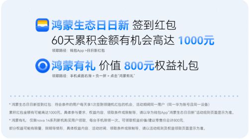 初夏时尚新秀火爆开售！nova14系列一眼吸金：好看、好用、红包好多