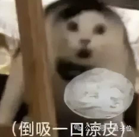 o3一图锁定地球表面坐标，AI看图猜地点战胜人类大师，奥特曼转发