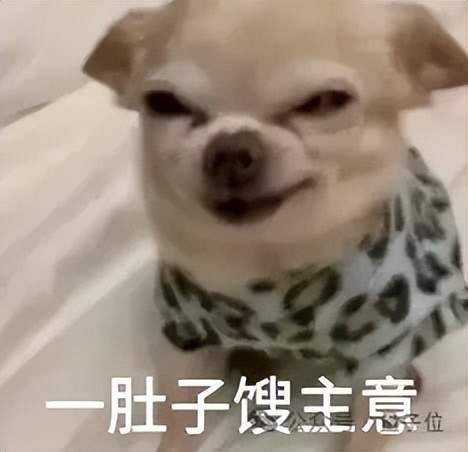 o3一图锁定地球表面坐标，AI看图猜地点战胜人类大师，奥特曼转发