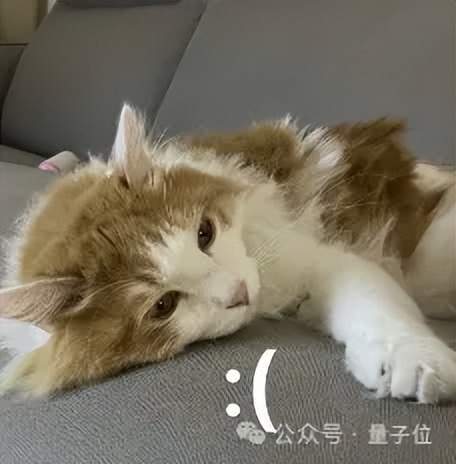 被拒稿11年后翻盘获时间检验奖，DSN作者谢赛宁：拒稿≠学术死刑