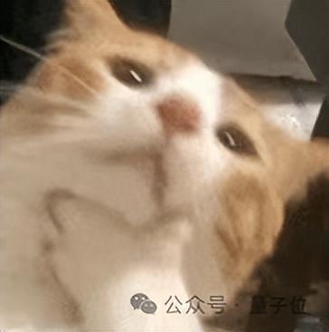 首次解释LLM如何推理反思！新框架引入贝叶斯自适应强化学习
