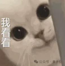 小模型媲美大模型，阿里通义开源「推理+搜索」预训练新框架
