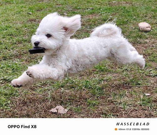 追求没那么极致，为什么选上代旗舰更超值？